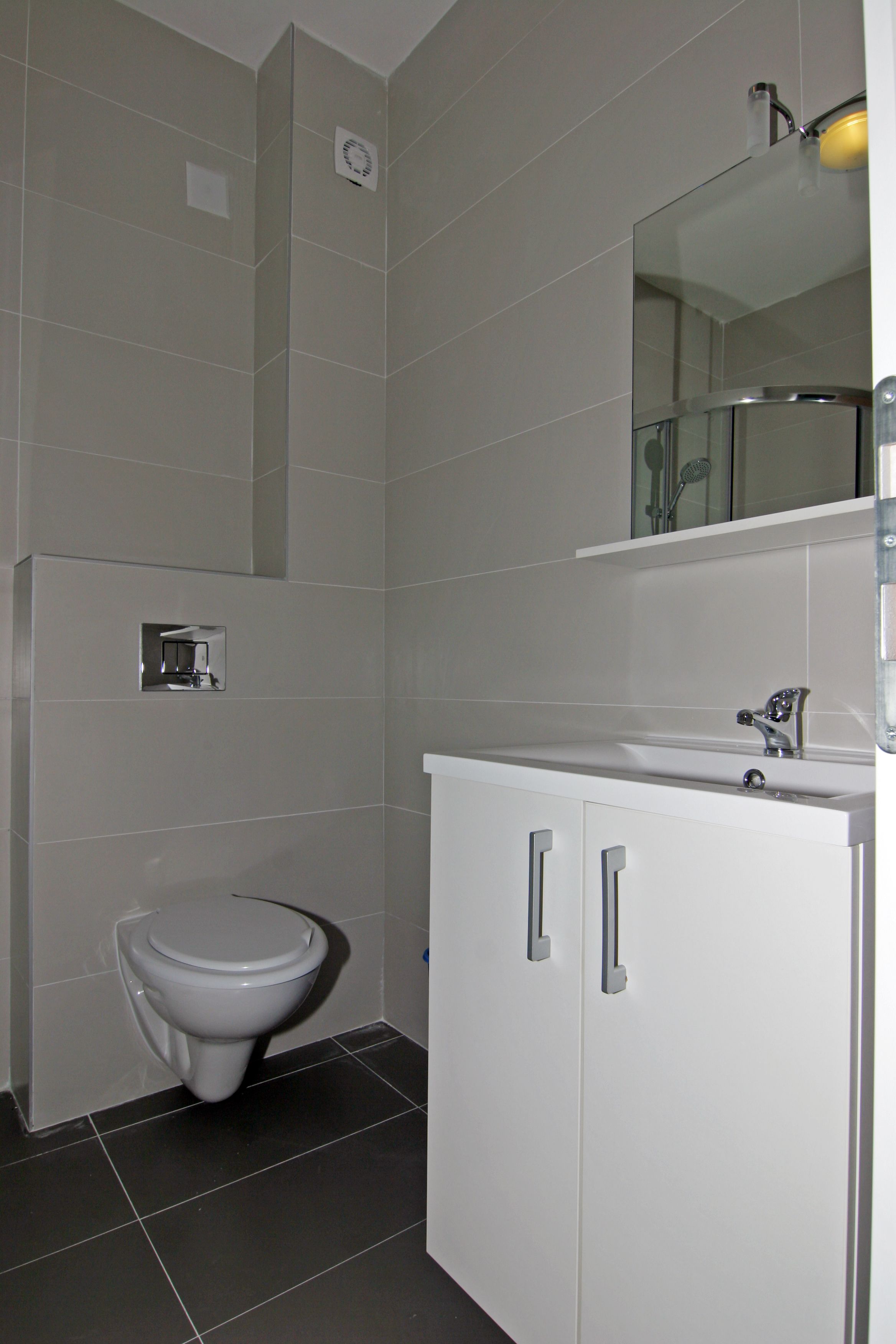 A modern bathroom with a toilet, a sink, and a mirror.