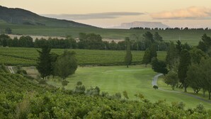A vineyard landscape with a golf course and distant mountains. - Devonvale Golf & Wine Estate (Stellenbosch)