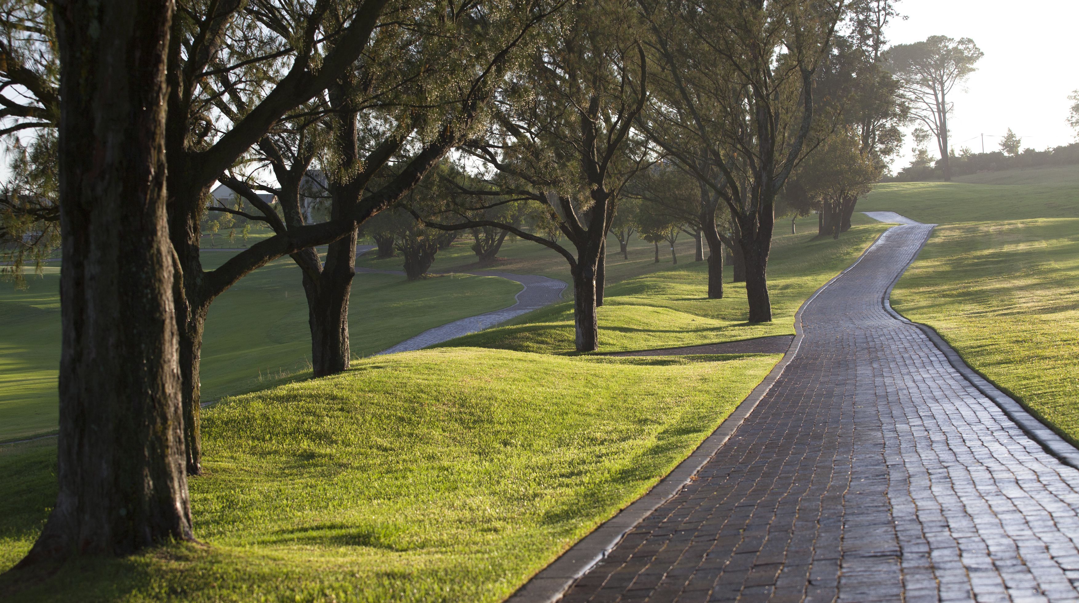 A paved pathway in a park with trees and grass.