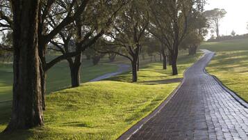 A paved pathway in a park with trees and grass.