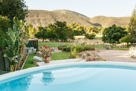 Outdoor pool, sun loungers