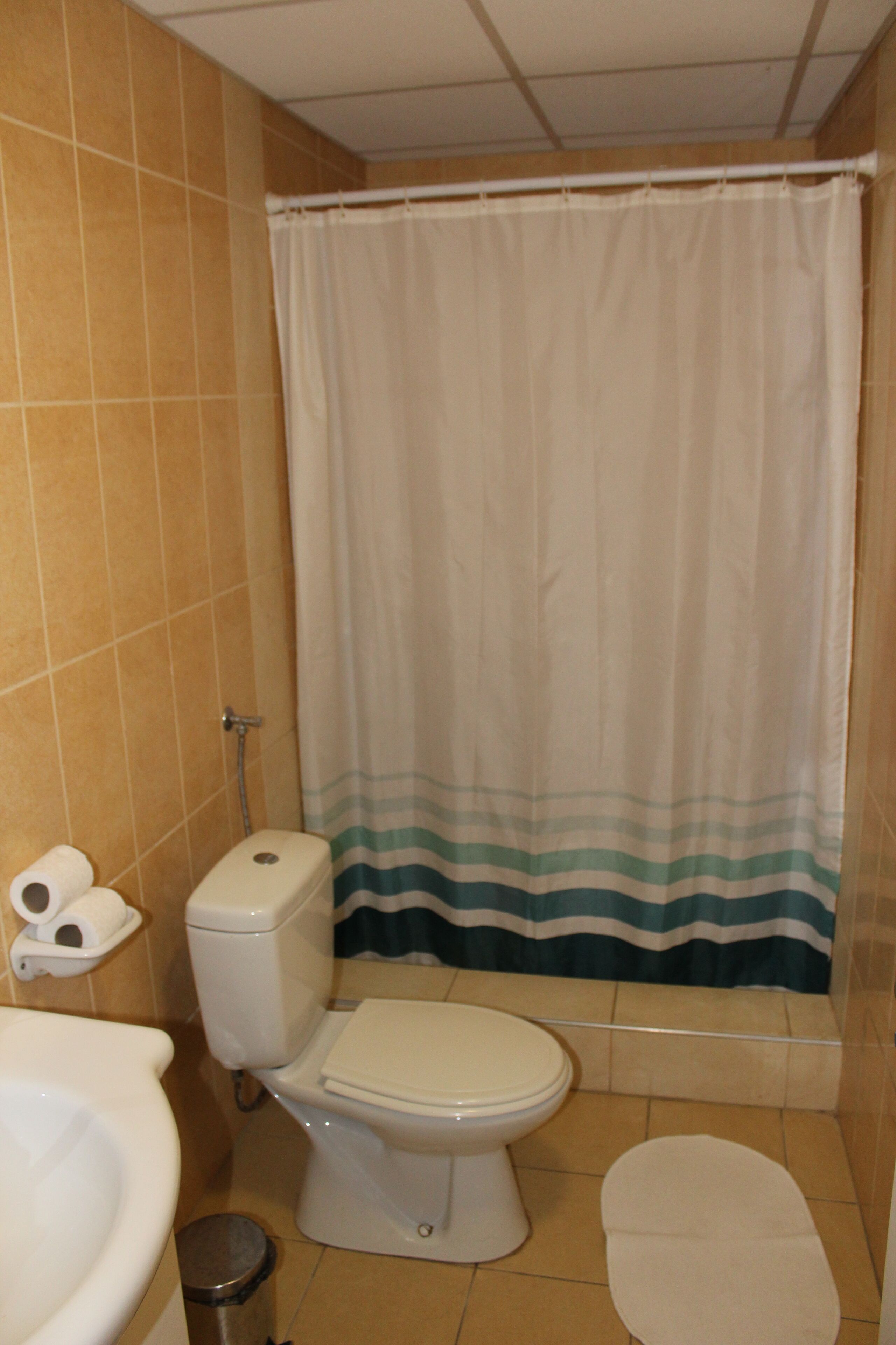 A bathroom with a toilet, a bidet, and a shower curtain.