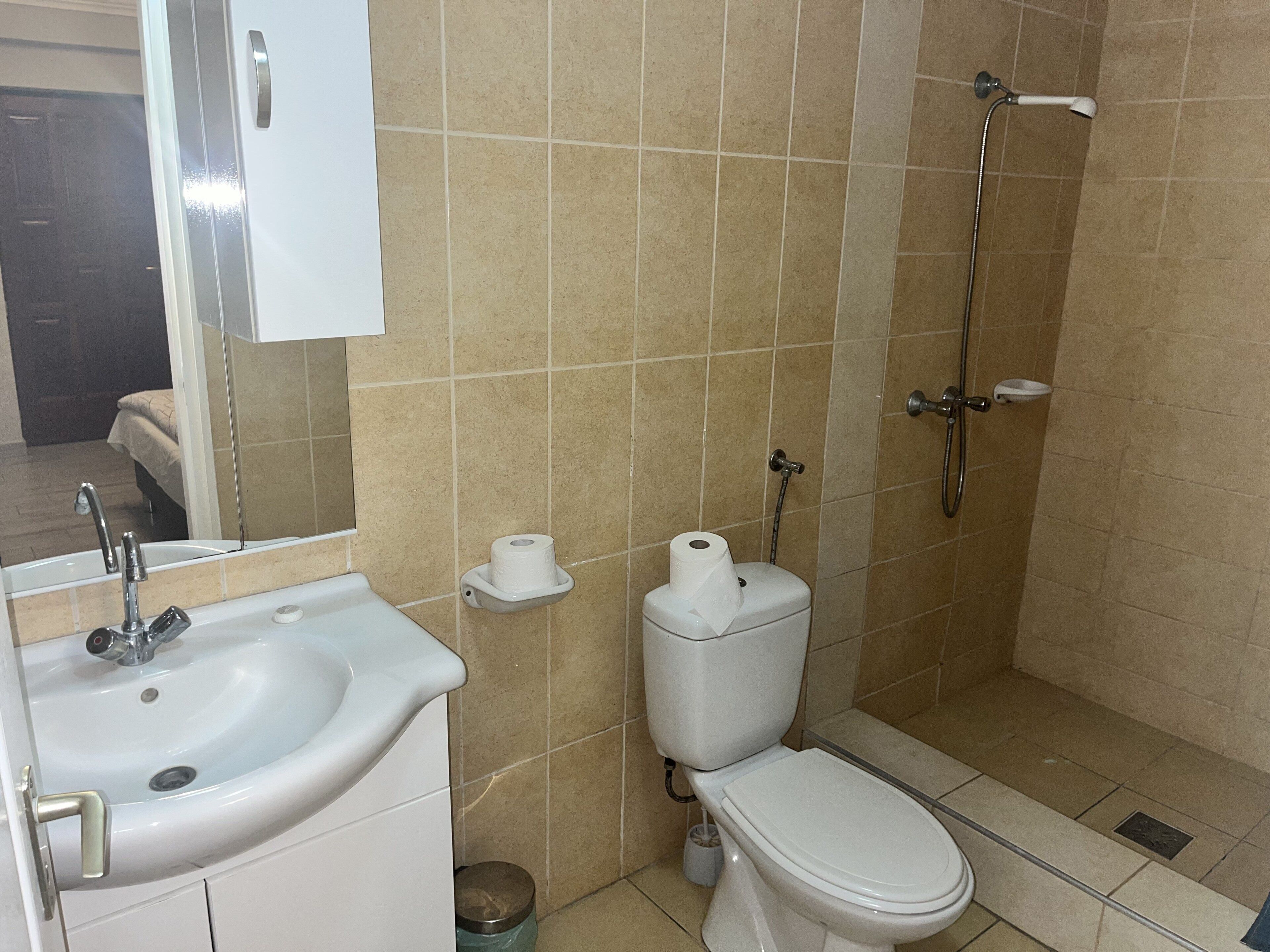 A bathroom with a sink, toilet, and shower.