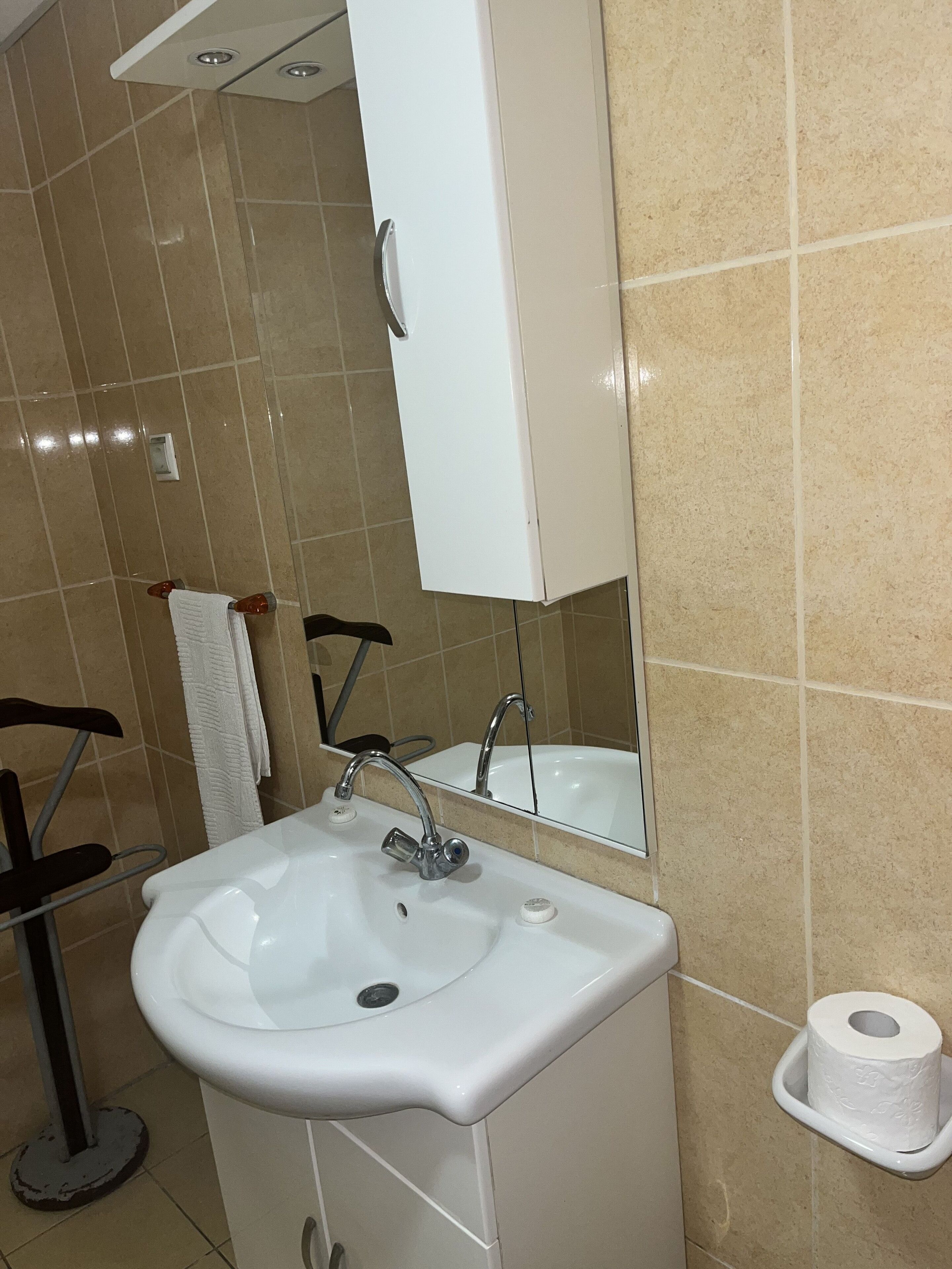Un baño con lavamanos blanco, un espejo y un dispensador de papel higiénico.