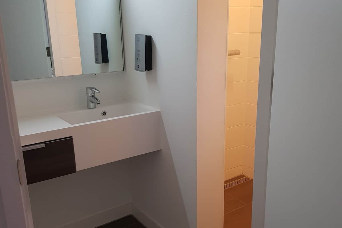 deluxe double room | bathroom | shower, rainfall showerhead, hair dryer, towels