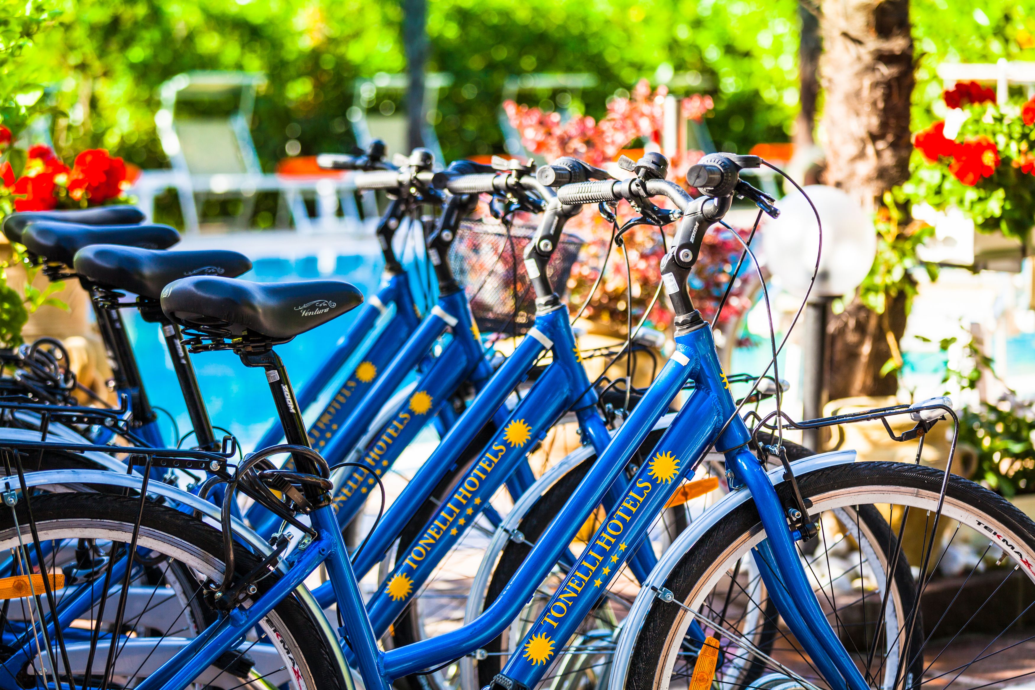 A row of blue bicycles with "Tonelli Hotels" branding, parked near a pool area with chairs and red flowers in the background.