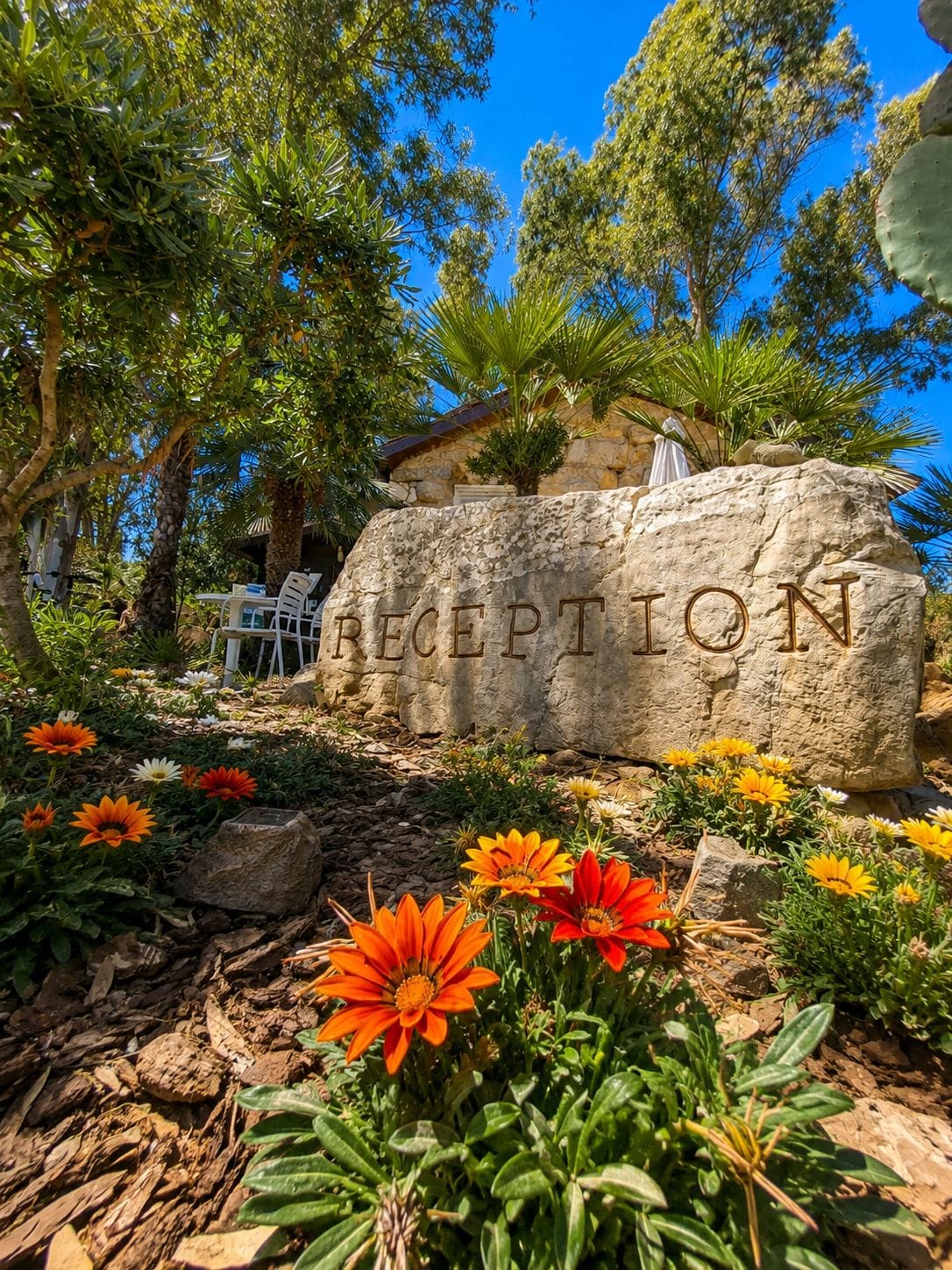 A reception area with a stone wall, outdoor seating, and a variety of plants and flowers.
