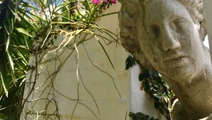 A stone sculpture of a face on a wall, surrounded by lush greenery and a clear blue sky.