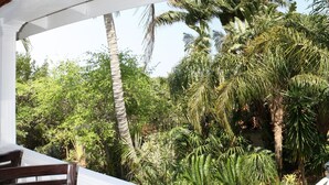 A covered outdoor area with a table and chairs, surrounded by dense tropical vegetation.