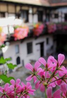Um edifício com varandas decoradas com flores coloridas.