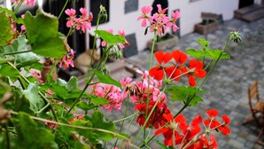 Um edifício com varanda decorada com flores pendentes.