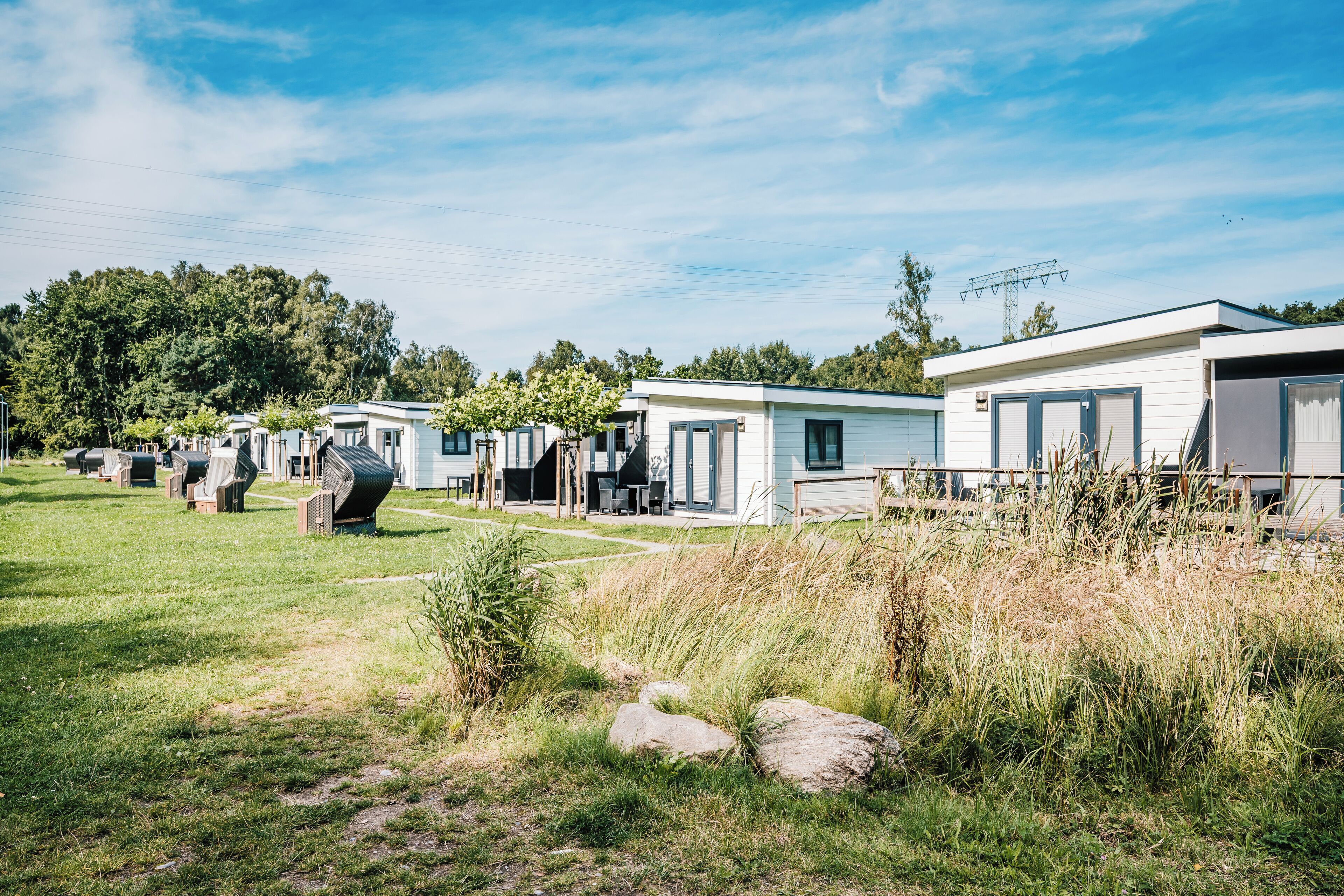 A row of mobile homes with a grassy lawn and trees in the background.