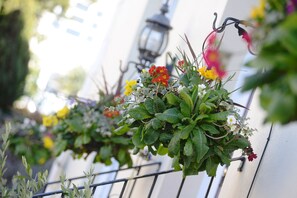 واجهة المنشأة