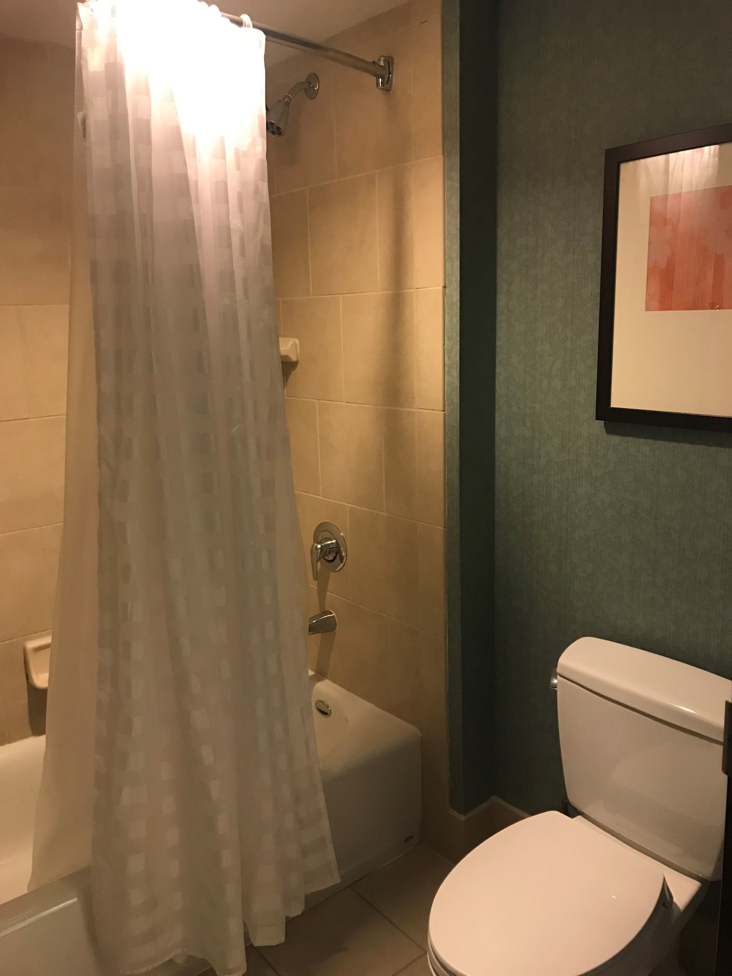 combined shower/bathtub, designer toiletries, hair dryer, towels