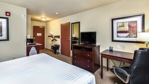 A hotel room with a bed, a desk, a chair, a television, a dresser, and a mirror.