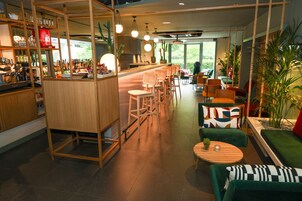 Bar (en el alojamiento)