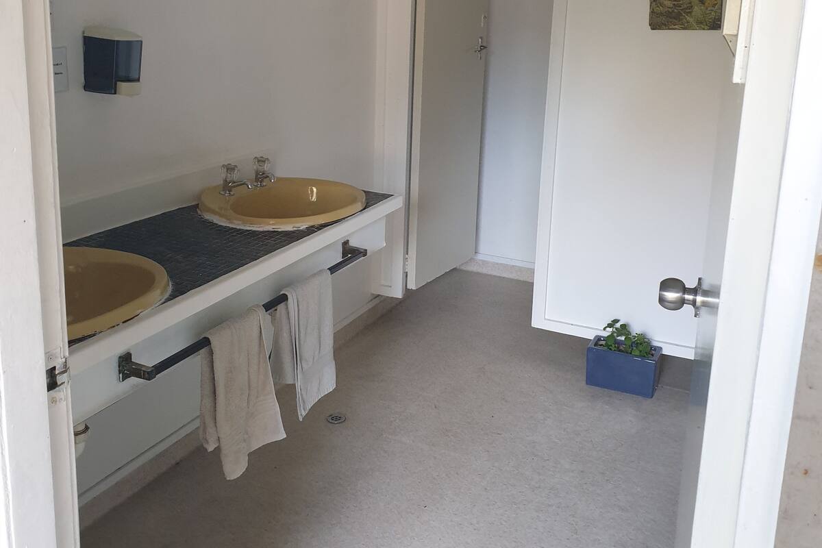A bathroom with two sinks, a towel rack, and a small potted plant.