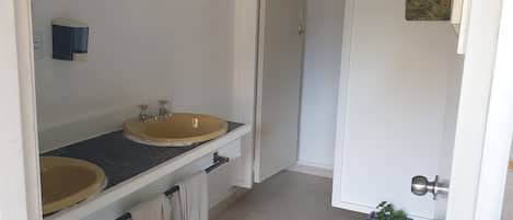 A bathroom with two sinks, a towel rack, and a small potted plant.