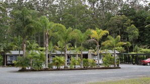 Um edifício rodeado por palmeiras e outras plantas.
