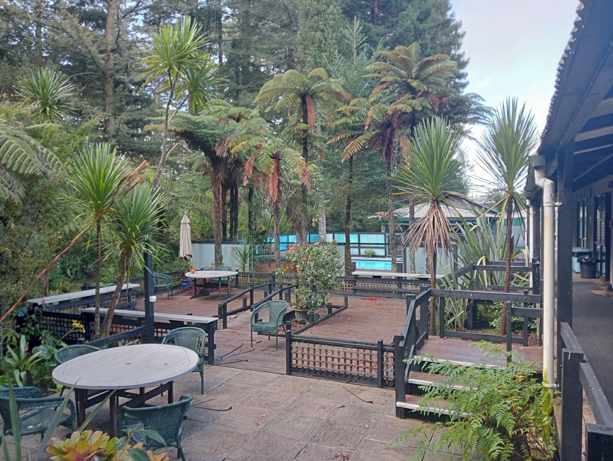Un área de patio al aire libre con mesas y sillas, rodeada de diversas plantas y árboles tropicales.