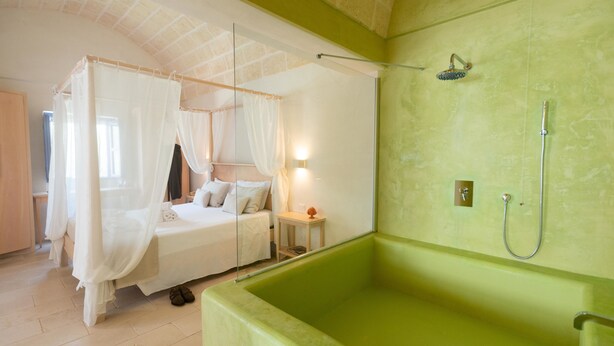 Una habitación con una cama con dosel, una bañera verde y una ducha.
