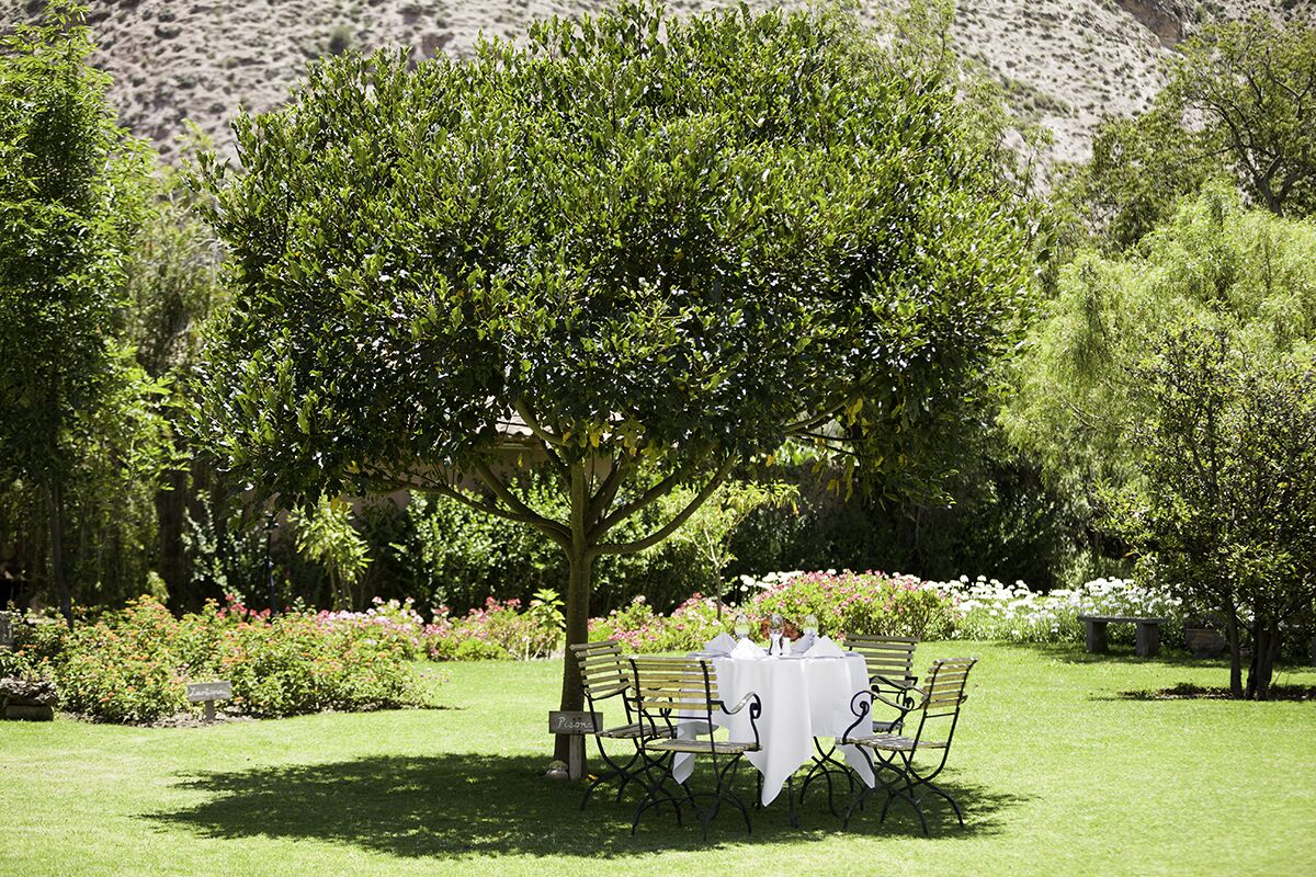 breakfast, lunch, dinner served; peruvian cuisine