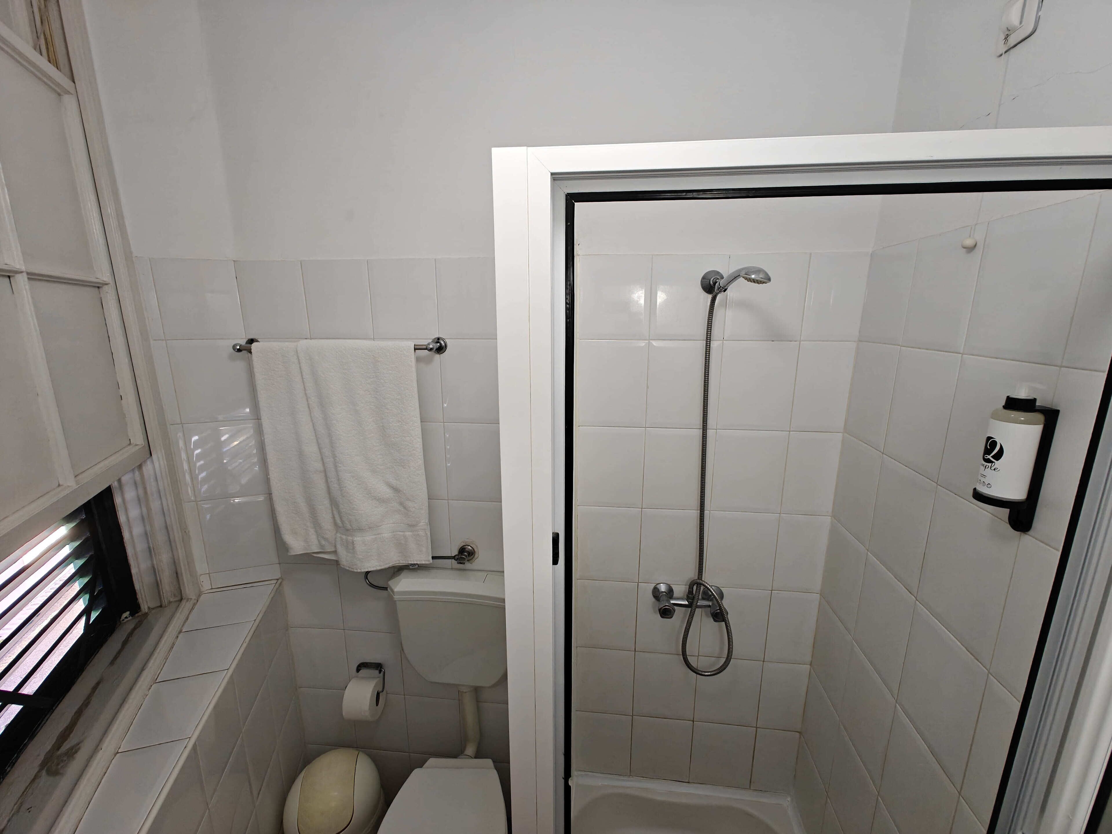 Een kleine, schone badkamer met toilet, douche en handdoekhouder.
