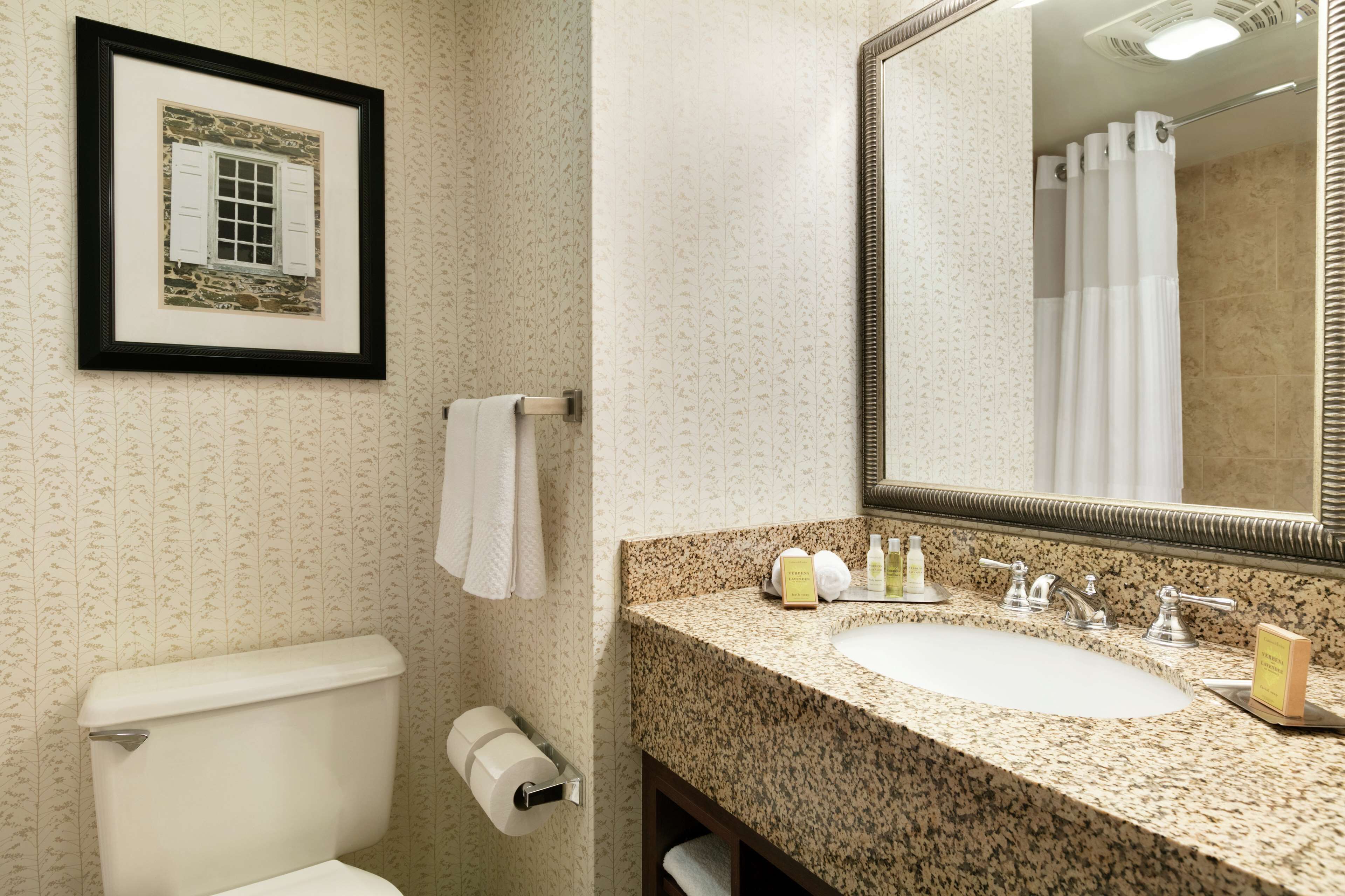 A bathroom with a toilet, a sink with a mirror, and a framed picture on the wall.