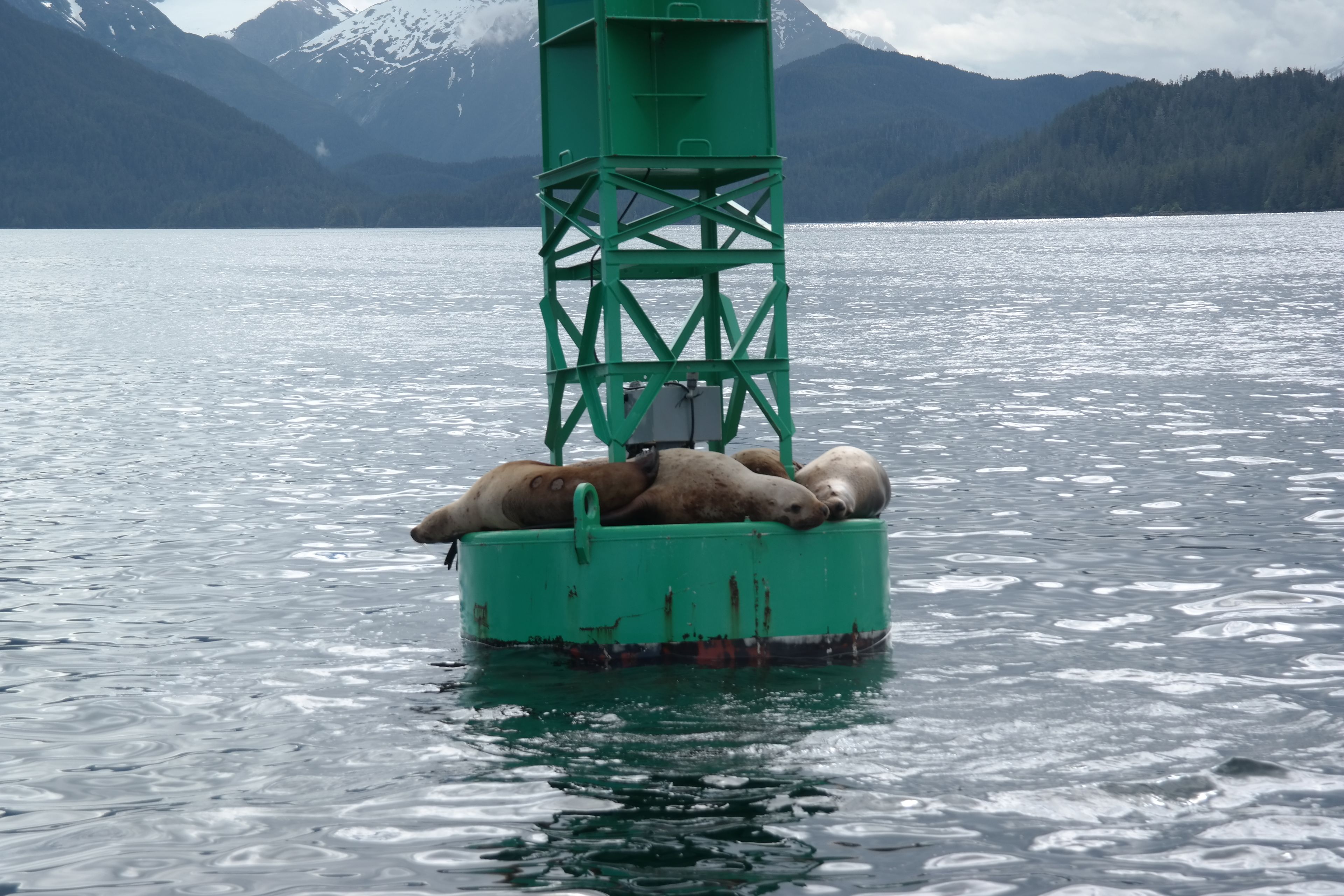 land view from property