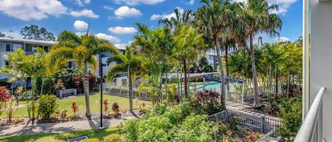 A residential area with a swimming pool, palm trees, and a well-maintained lawn.
