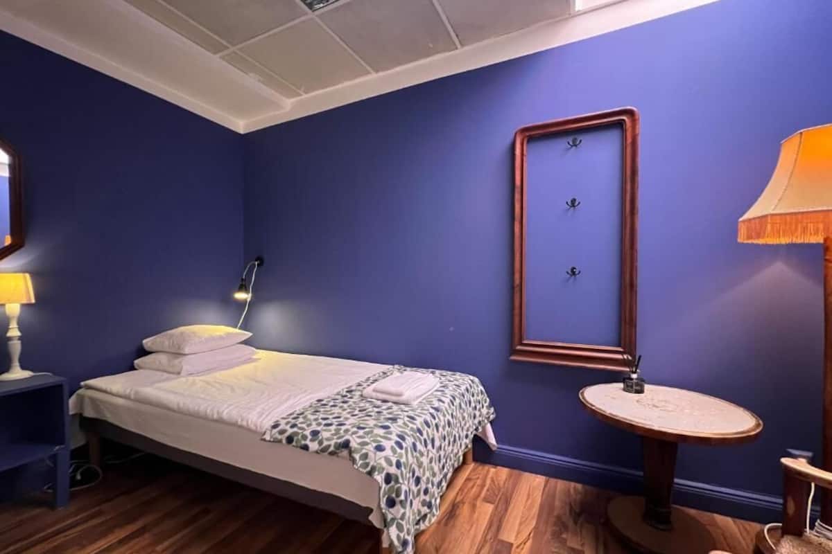 Single Room Mini, Shared Bathroom (No windows, Annex) | Wi-fi (inkludert) og sengetøy