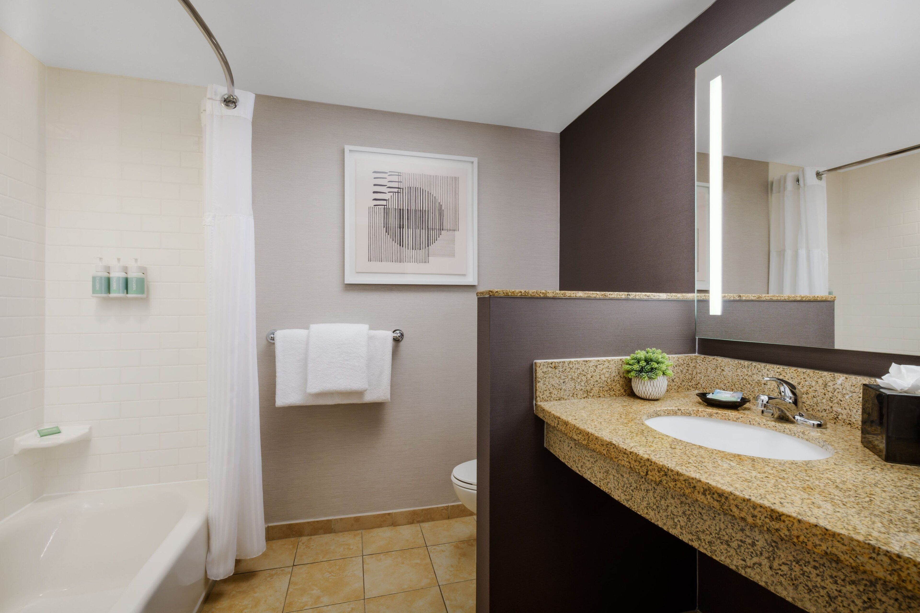 combined shower/bathtub, free toiletries, hair dryer, towels