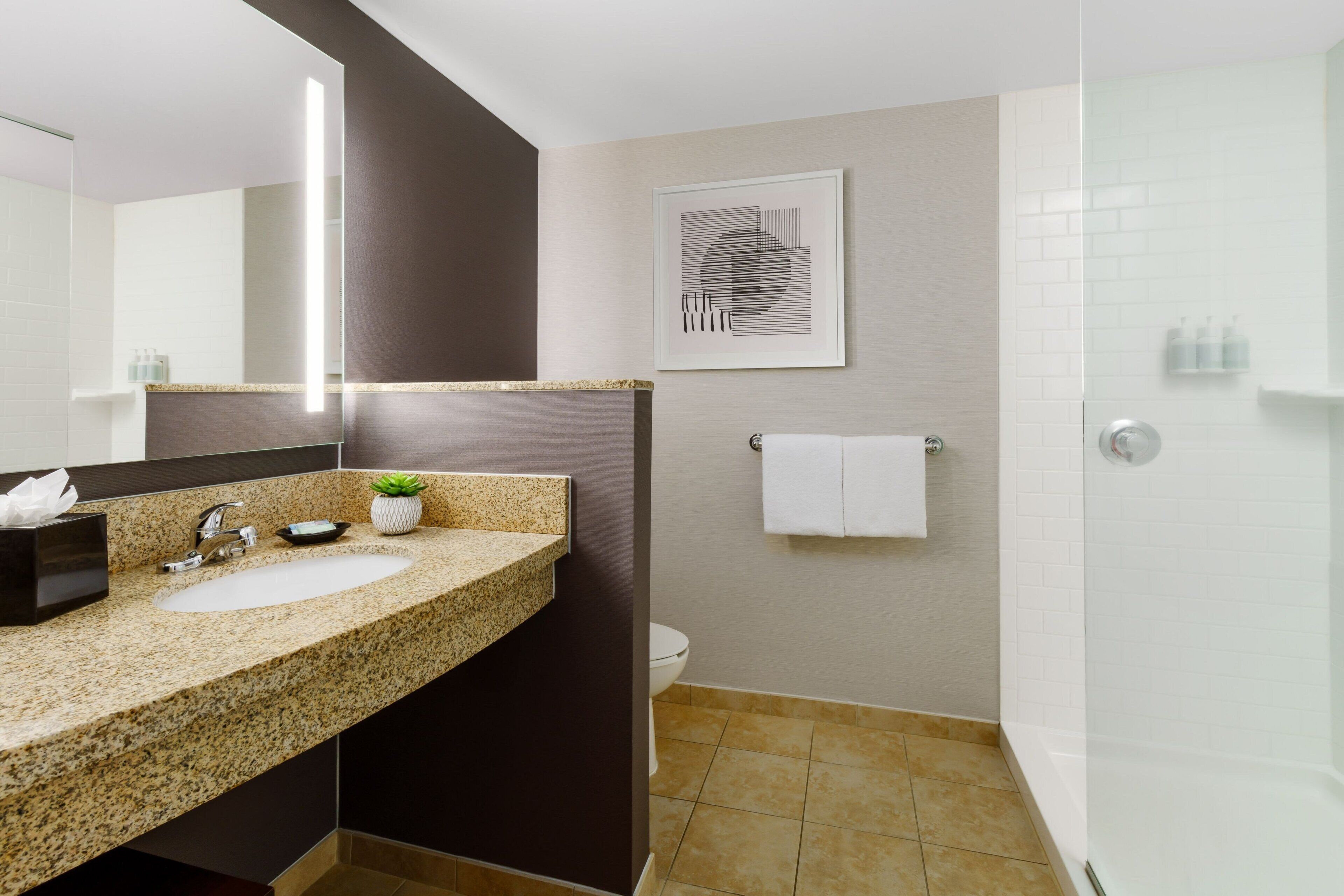 combined shower/bathtub, free toiletries, hair dryer, towels