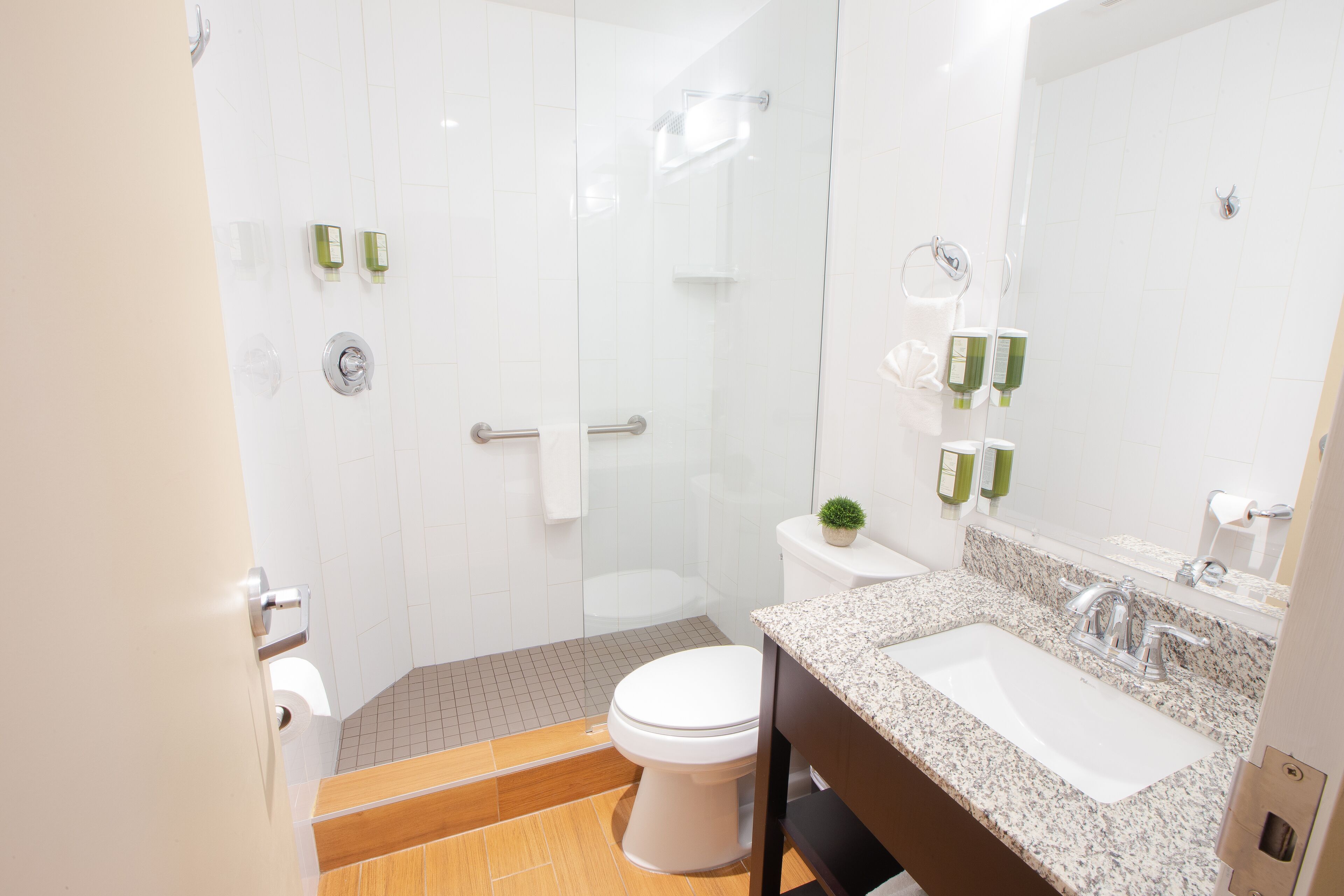 A modern bathroom with a shower, toilet, sink, and a small potted plant.