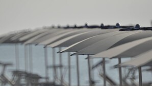 Une rangée de parapluies transparents avec des tiges en métal, probablement destinés à être utilisés à l’extérieur.