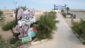 Acepta mascotas