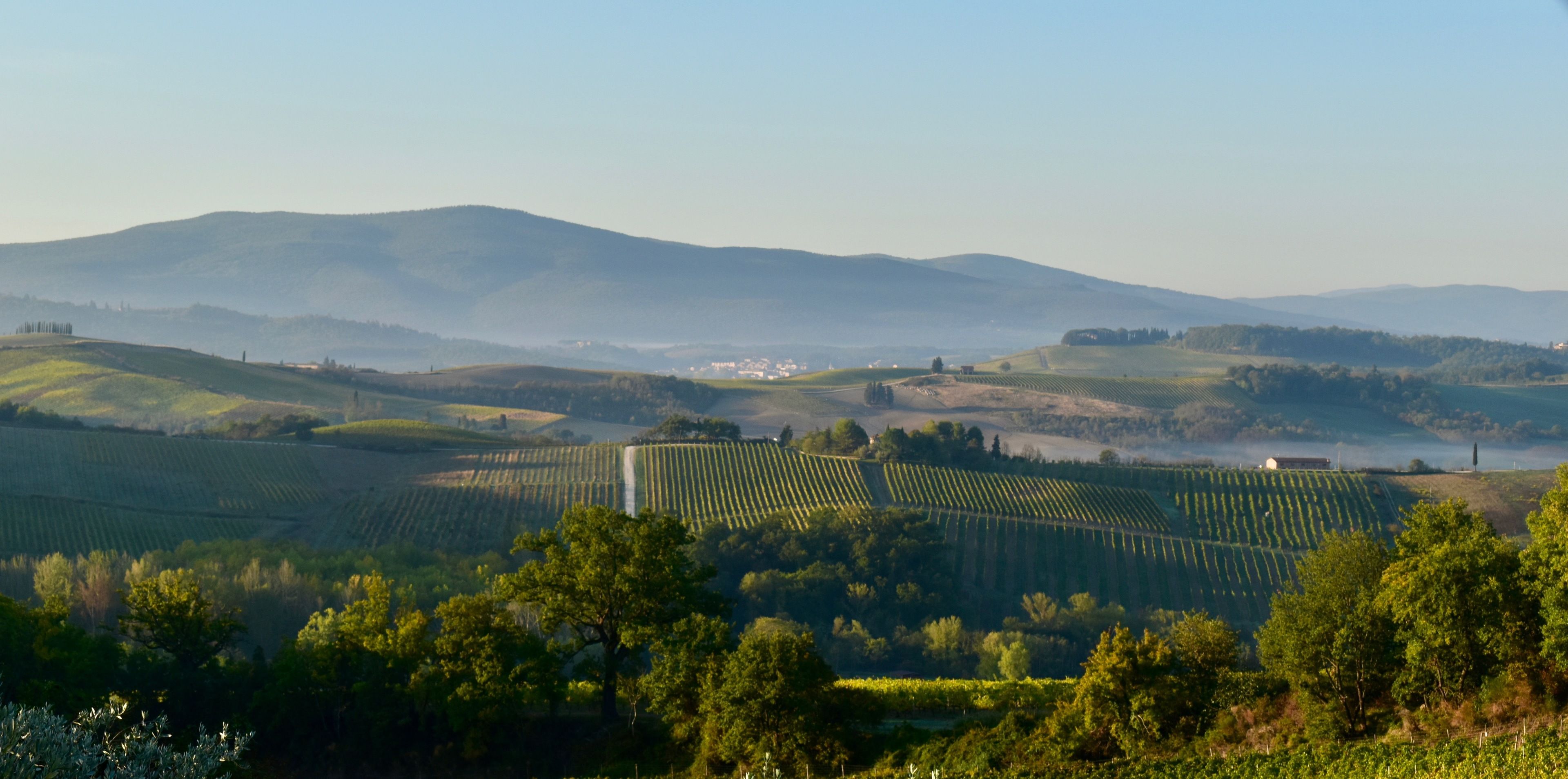 Foto - Locanda Le Piazze