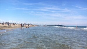A beach with clear shallow waters and a distant shoreline. - Residence Auriga (Rimini)