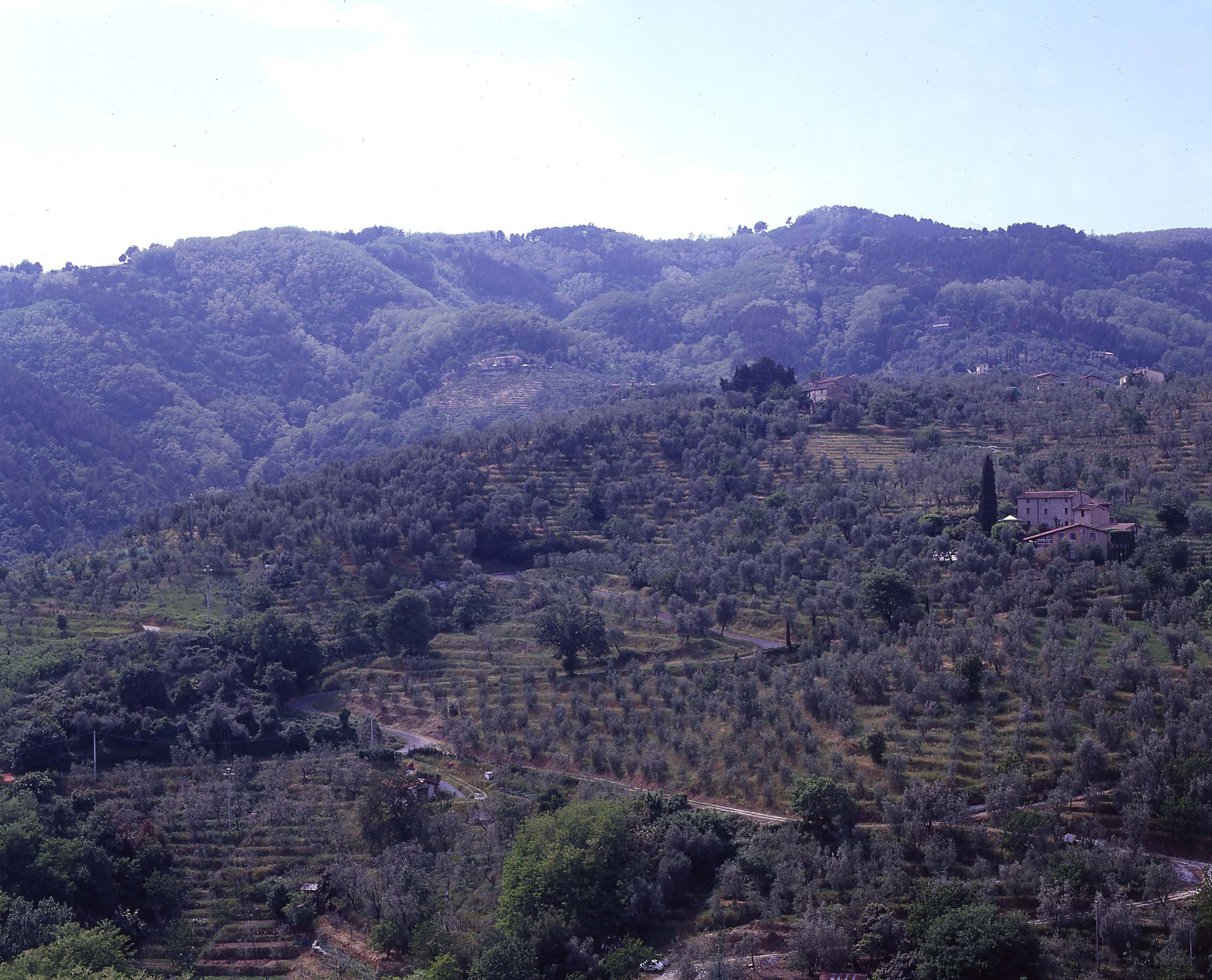 Photo - antica casa "le rondini"
