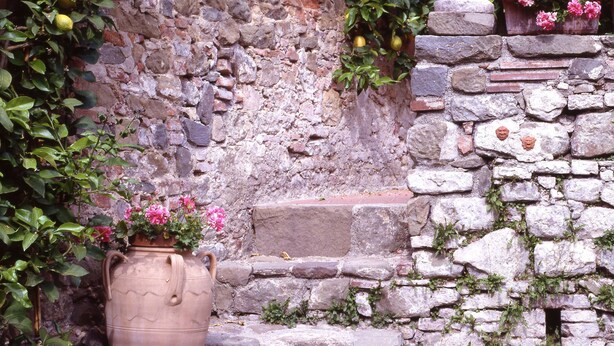 Garden - Antica Casa le Rondini (Buggiano)
