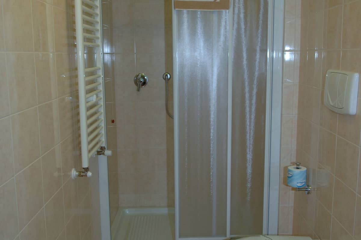 shower, free toiletries, hair dryer, bidet