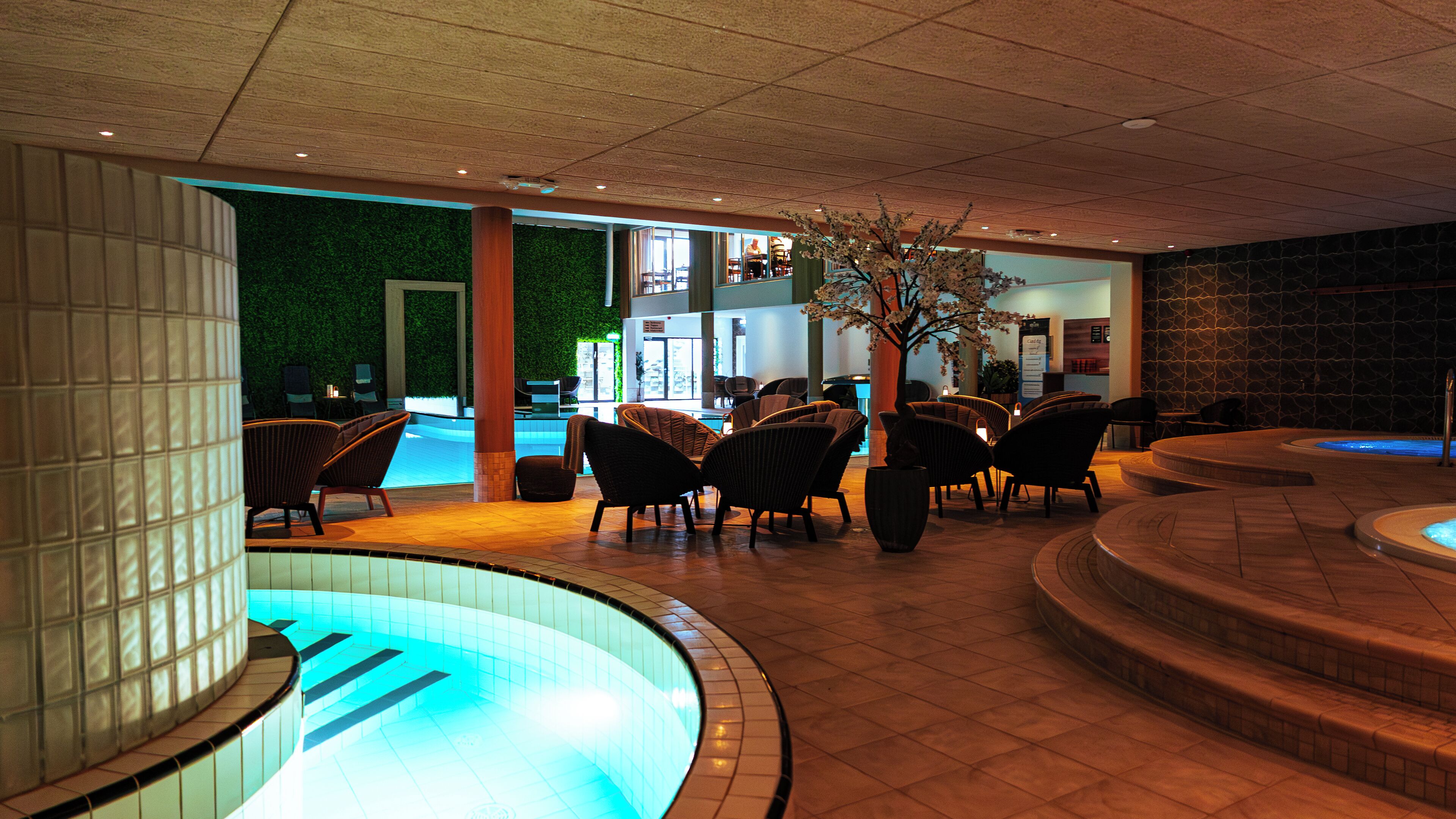 A pool area with chairs and a tree, surrounded by stone walls and a green wall.