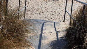 Un sendero arenoso que conduce al océano, con barandas metálicas a ambos lados.