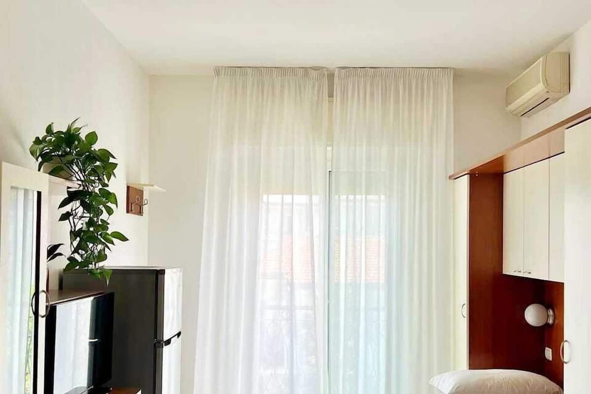 A hotel room with a bed, a TV, a plant, and a window with sheer curtains.