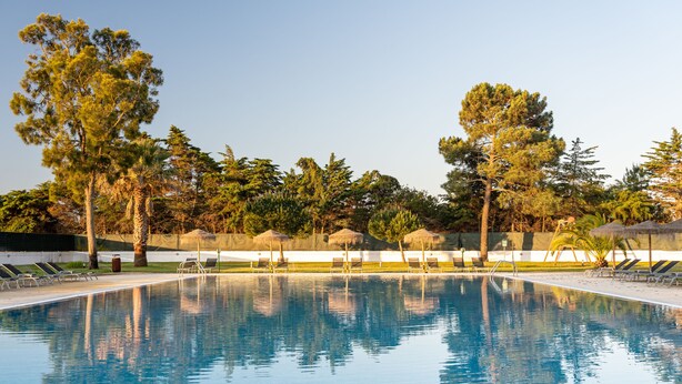 Piscina cercada por árvores, com espreguiçadeiras e guarda-sóis.