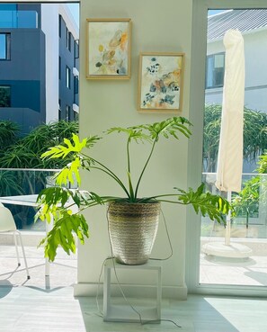 Televisión plasma, reproductor de DVD, estación para iPod