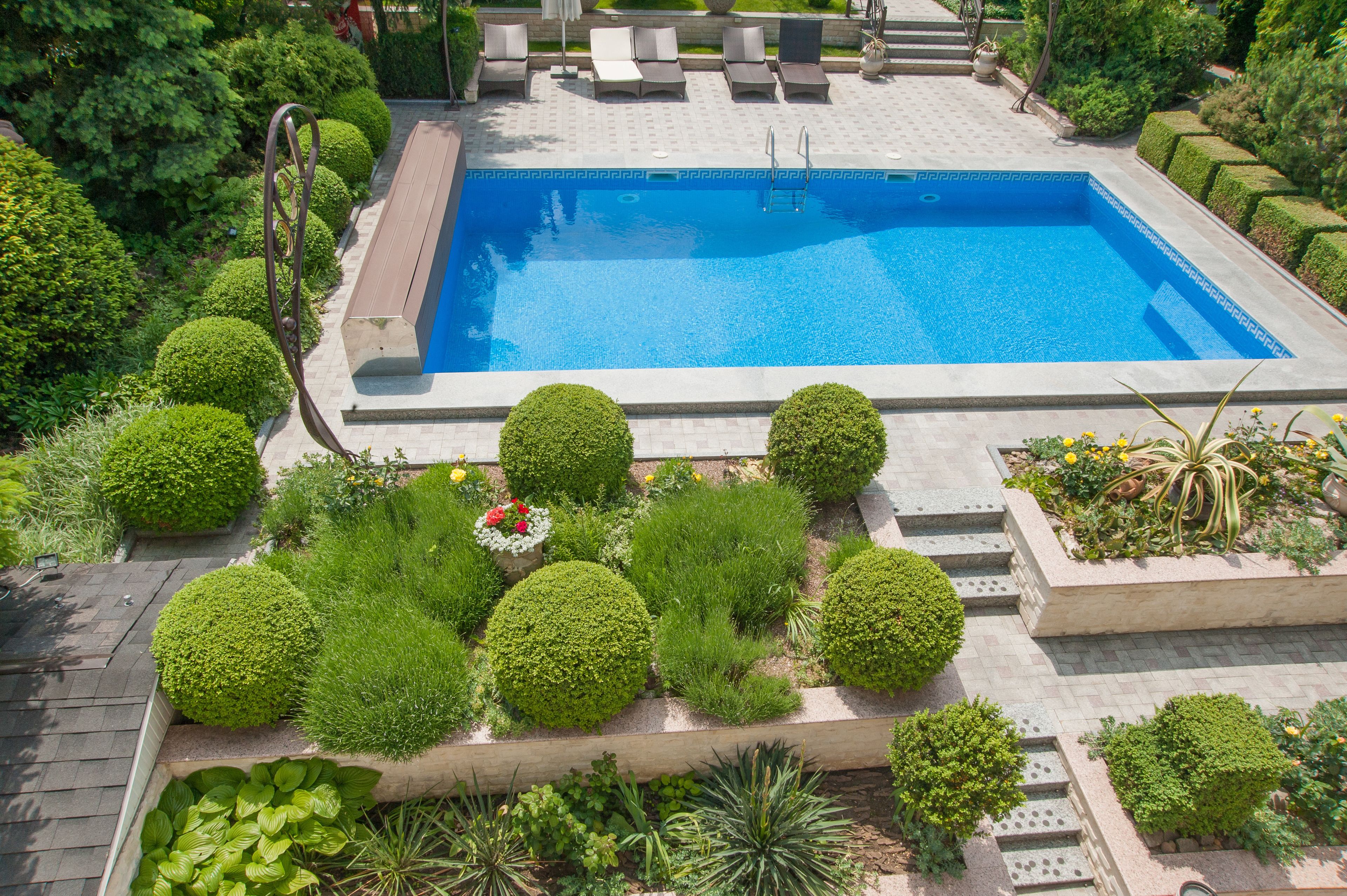 A rectangular swimming pool surrounded by neatly trimmed hedges and a variety of plants.