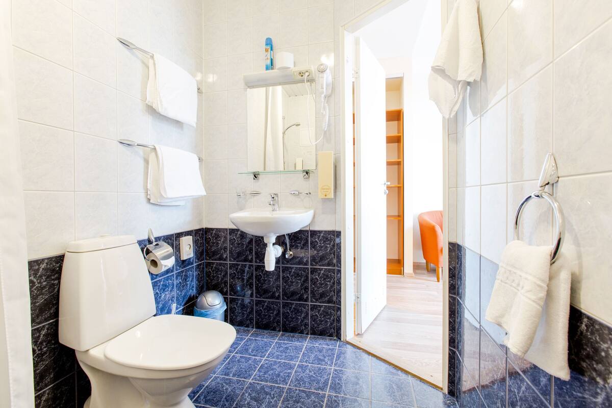 superior double or twin room | bathroom | separate bathtub and shower, hair dryer, towels