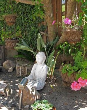 Property grounds - Hout Bay View (Cape Town)