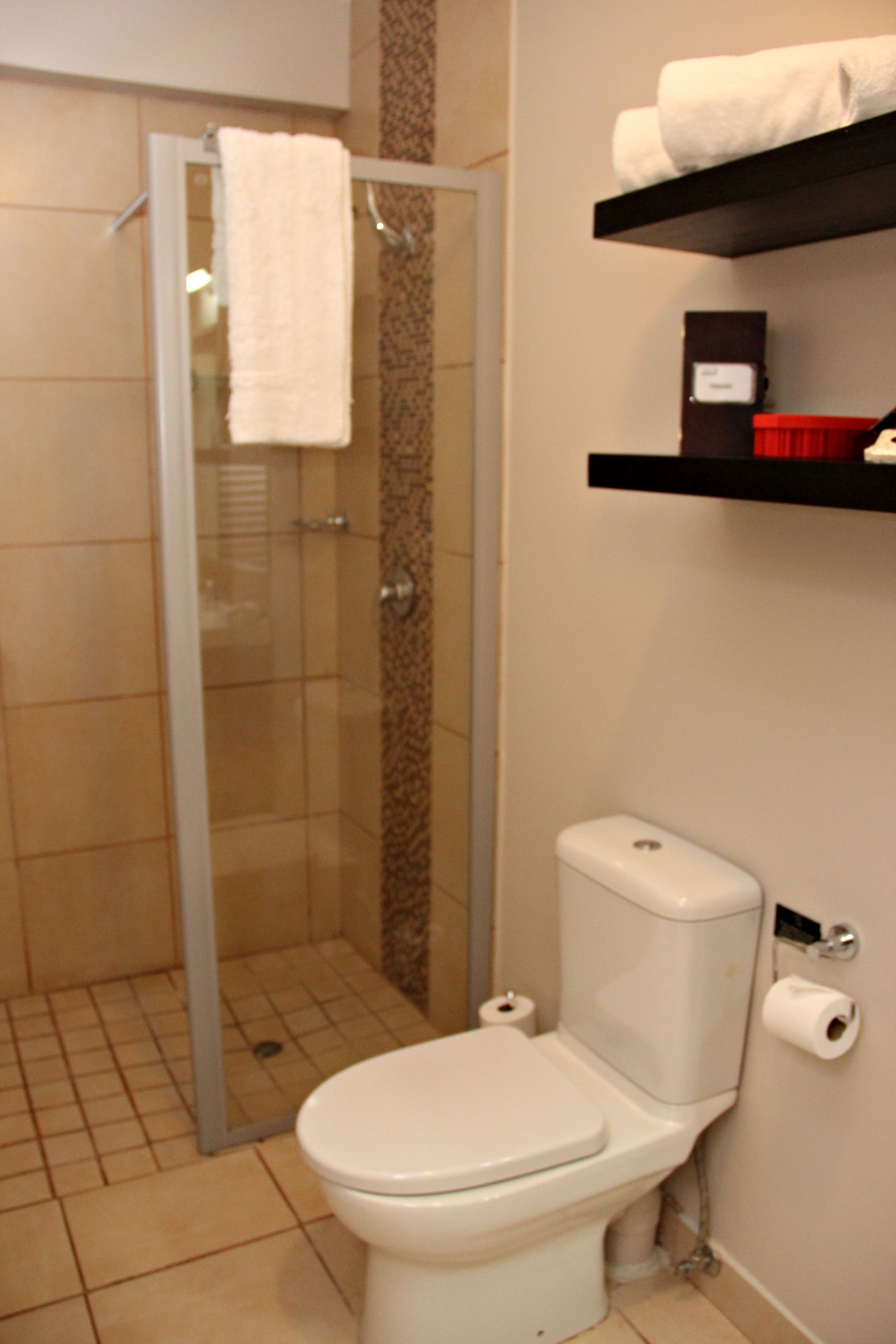 A bathroom with a glass shower enclosure, a toilet, and a shelf with toiletries.